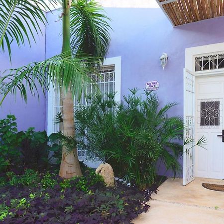 Casa Violeta Villa Mérida Dış mekan fotoğraf