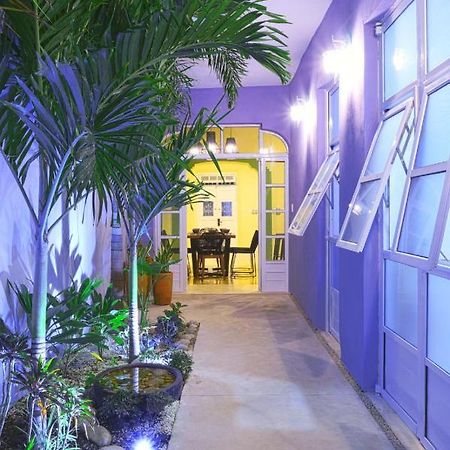 Casa Violeta Villa Mérida Dış mekan fotoğraf