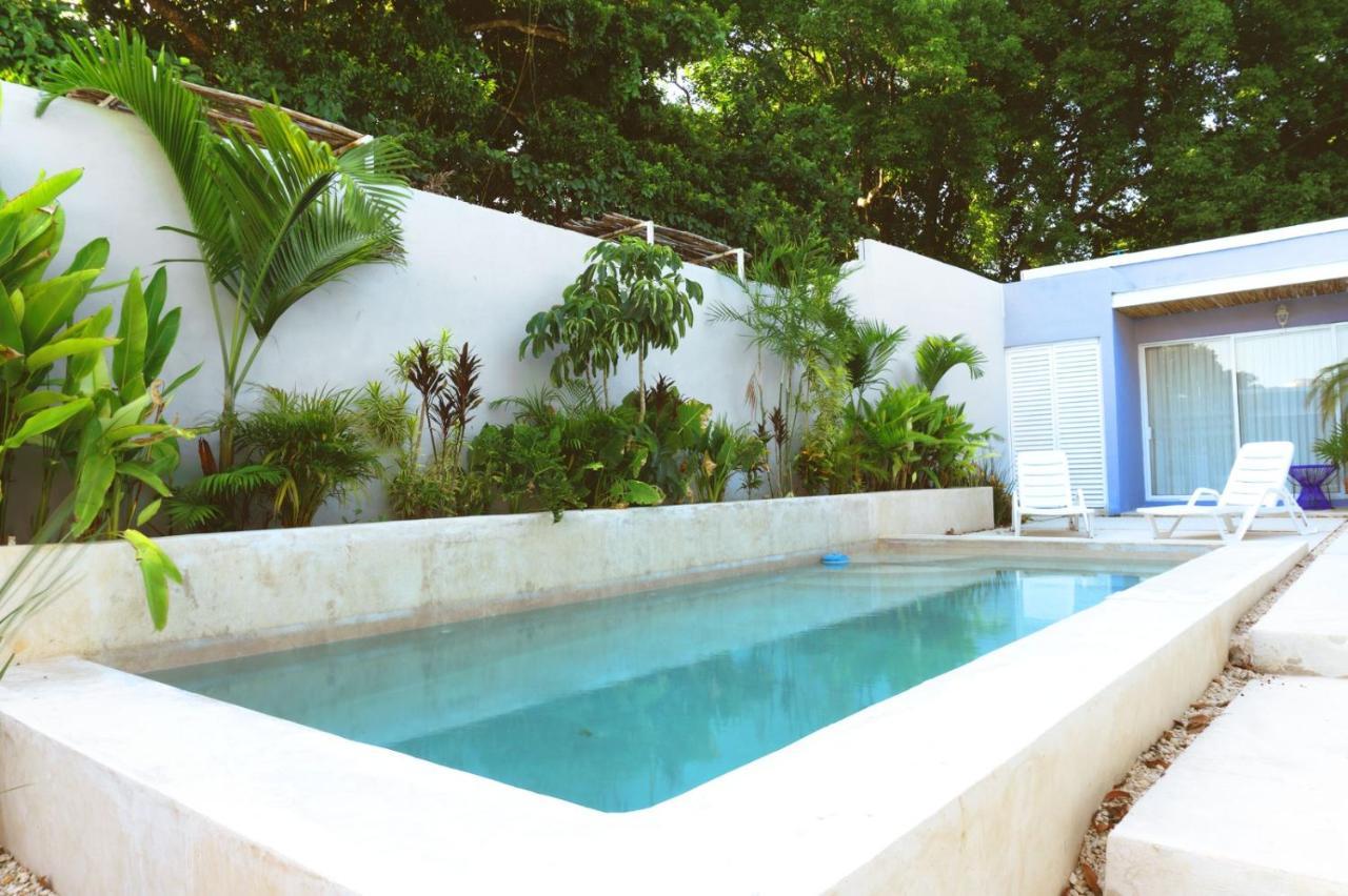 Casa Violeta Villa Mérida Dış mekan fotoğraf