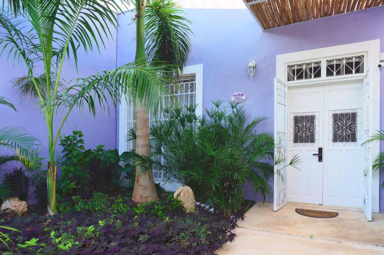 Casa Violeta Villa Mérida Dış mekan fotoğraf