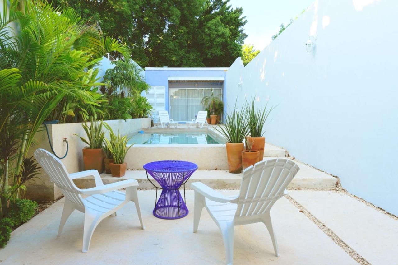 Casa Violeta Villa Mérida Dış mekan fotoğraf