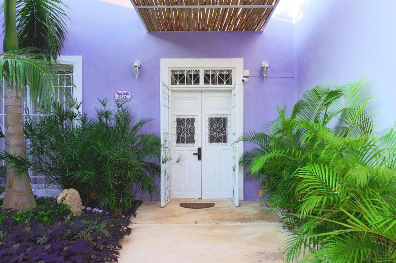 Casa Violeta Villa Mérida Dış mekan fotoğraf