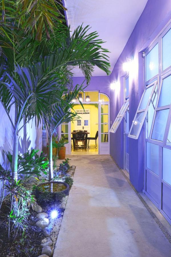 Casa Violeta Villa Mérida Dış mekan fotoğraf